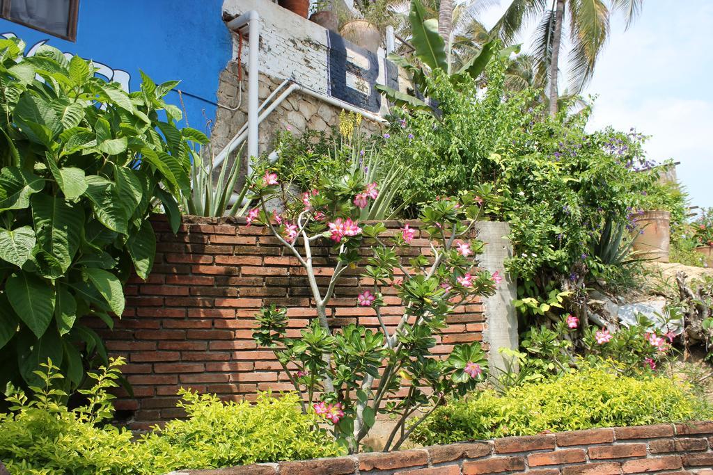 Hotel Buena Vista Puerto Escondido  Kültér fotó